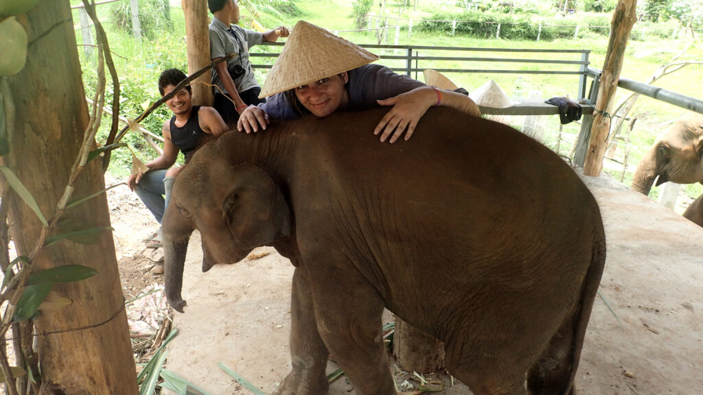 O Bebê elefante é uma criança.