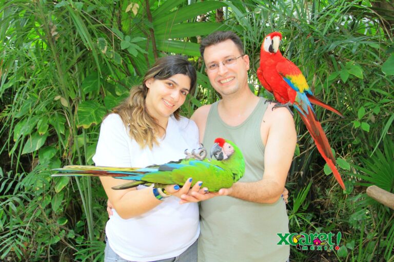 Xcaret – O Parque ecoturístico arqueológico