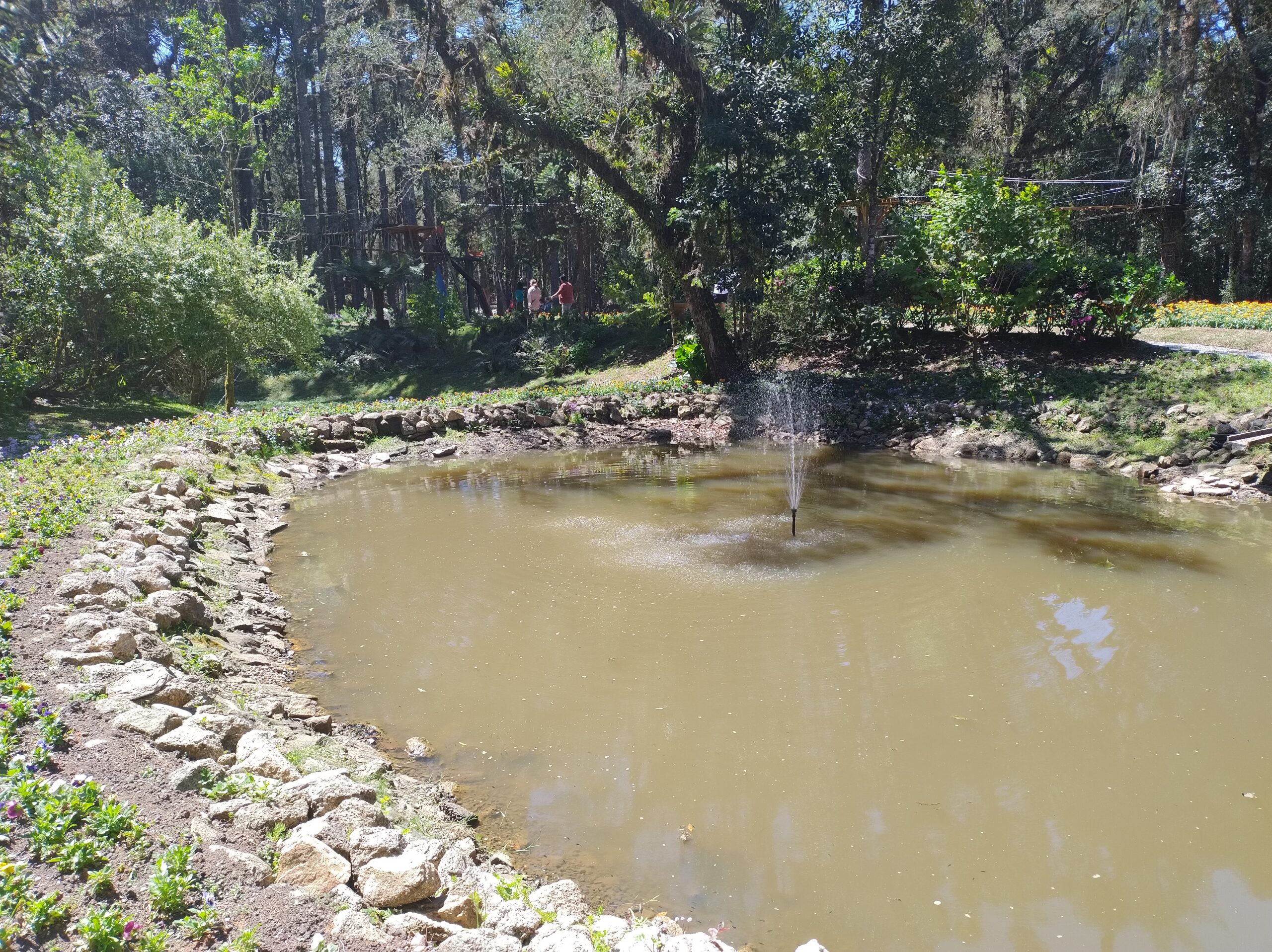 Bosque do Silêncio - Campos do Jordão