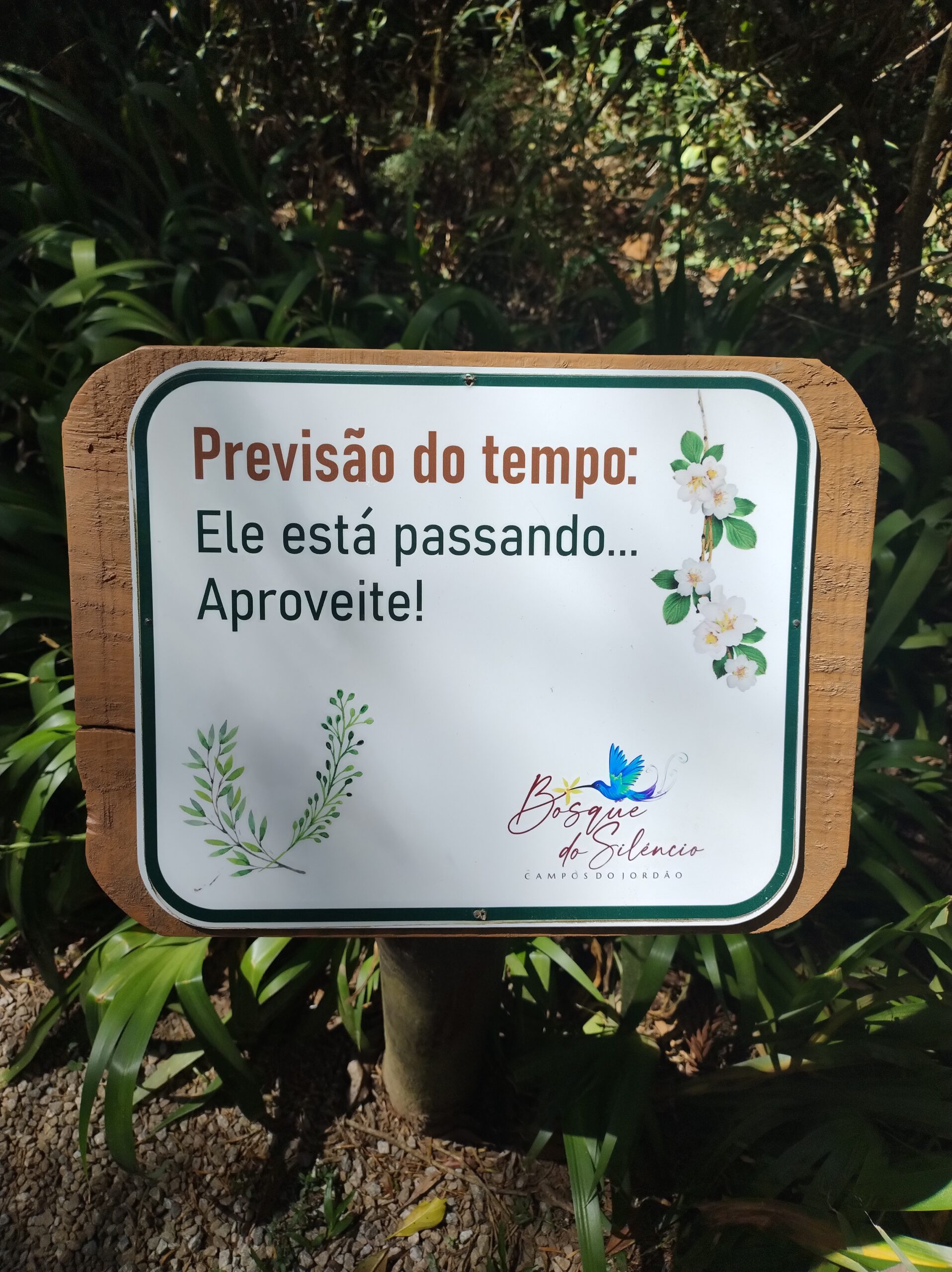 Bosque do Silêncio - Campos do Jordão