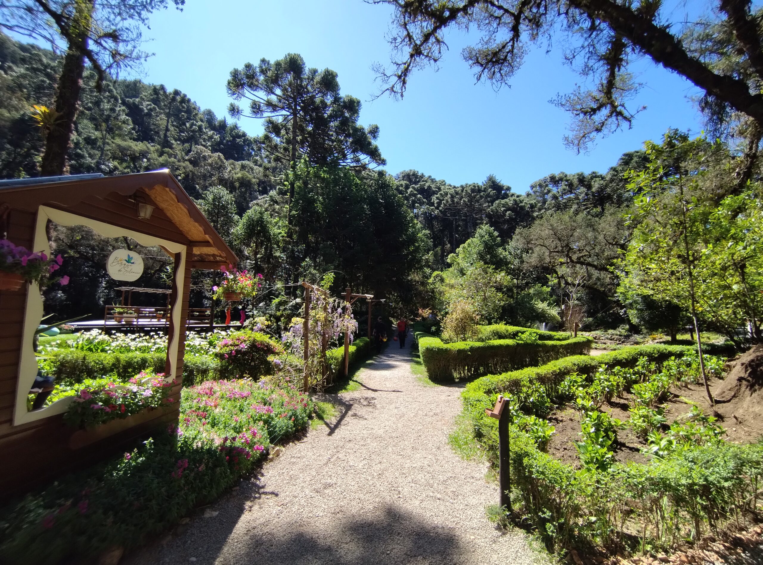 Bosque do Silêncio - Campos do Jordão