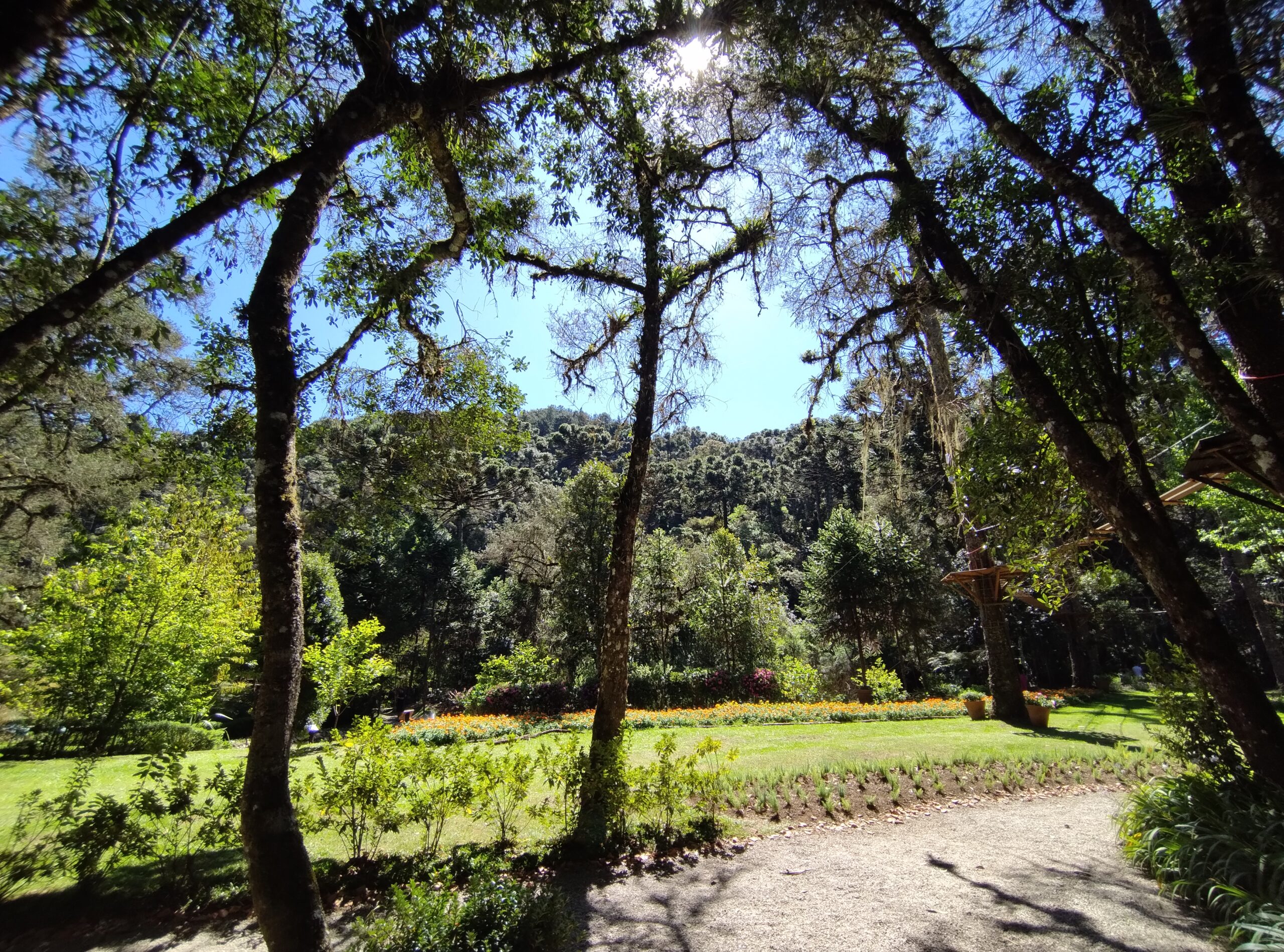 Bosque do Silêncio - Campos do Jordão