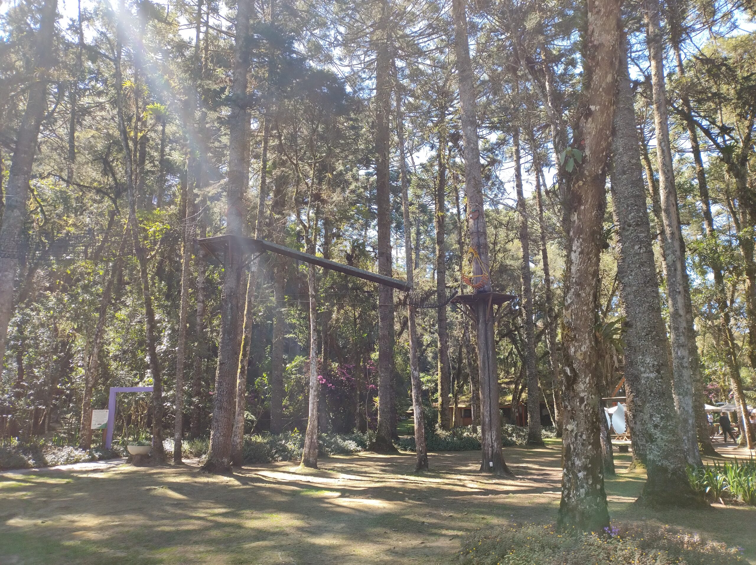 Bosque do Silêncio - Campos do Jordão