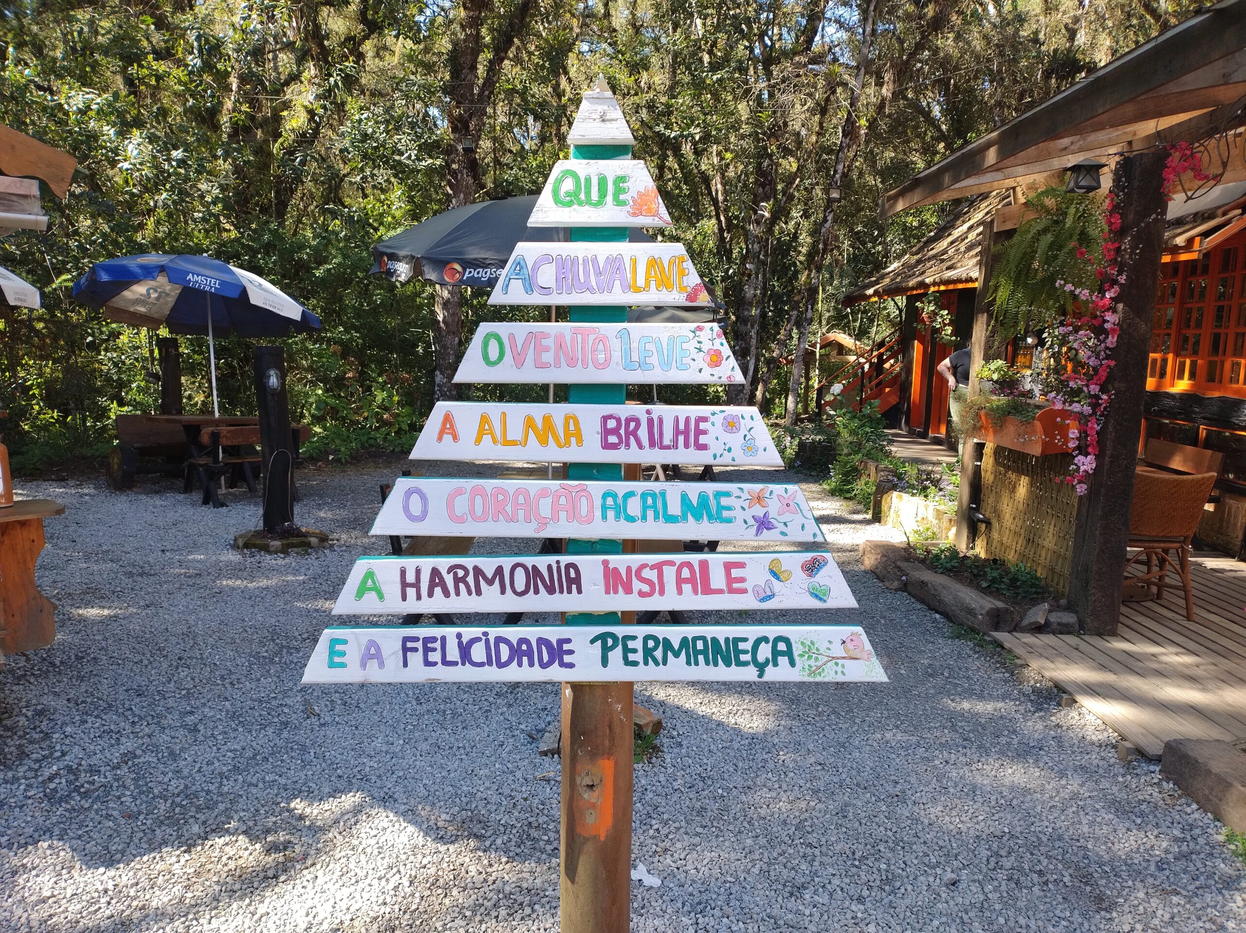 Café no Bosque - Bosque do Silêncio