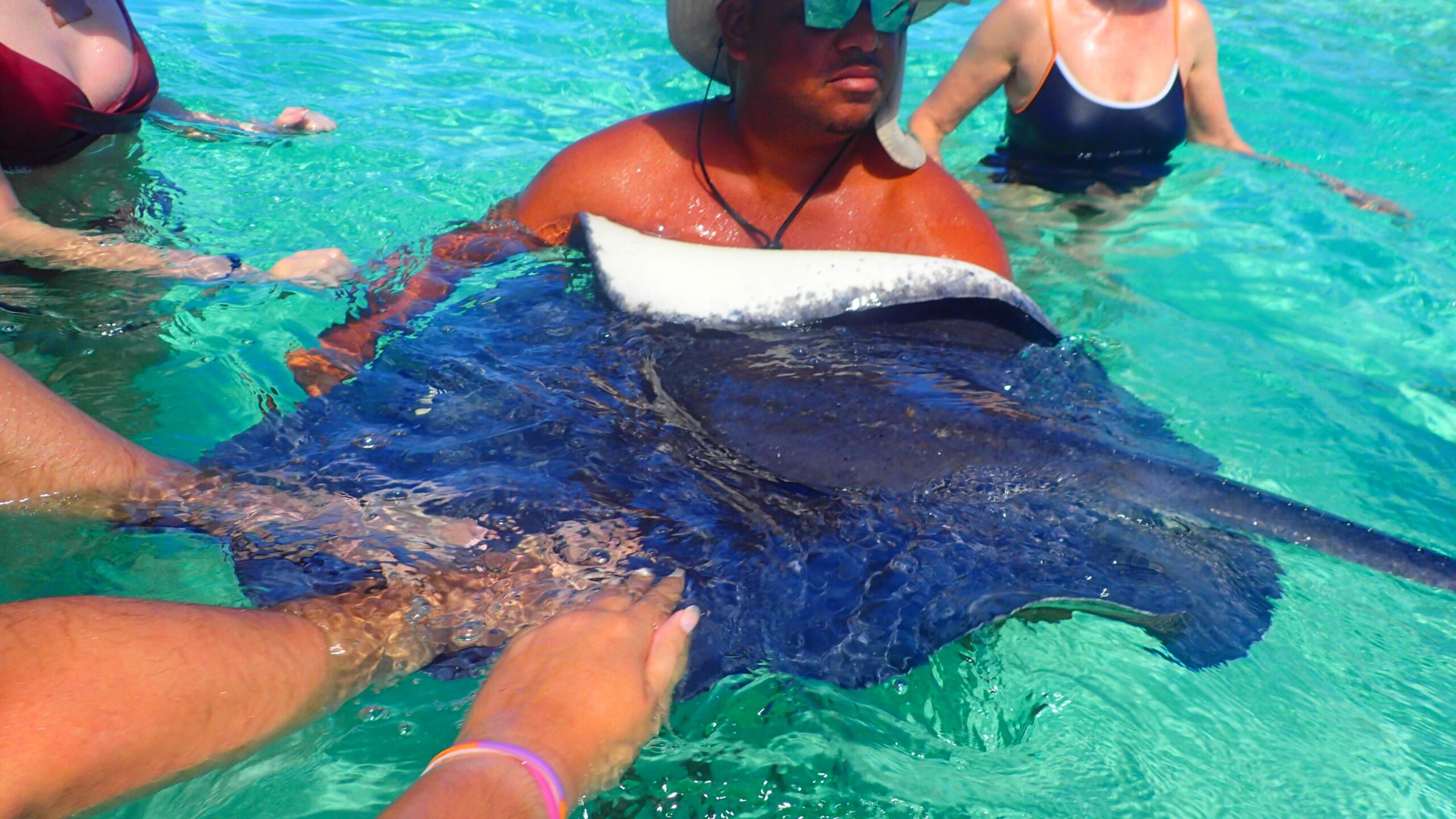 Stingray city - Ilhas Cayman - Viagem de Cruzeiro