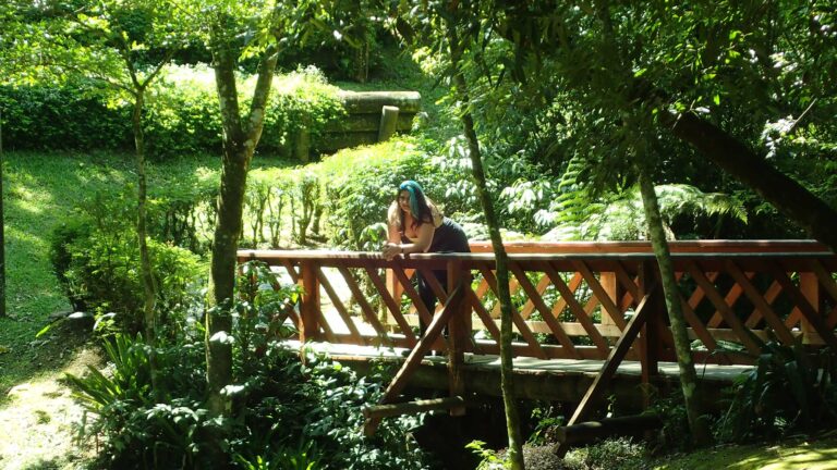 Bosque Alemão - Curitiba