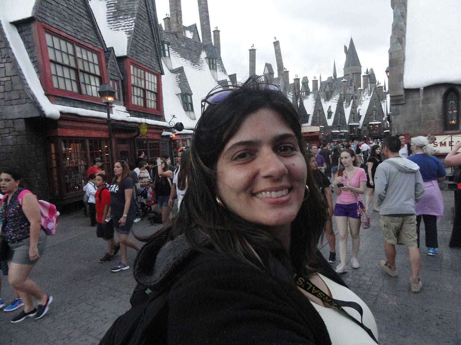 Parques da Universal - Parque do Harry Potter - Parques de Orlando